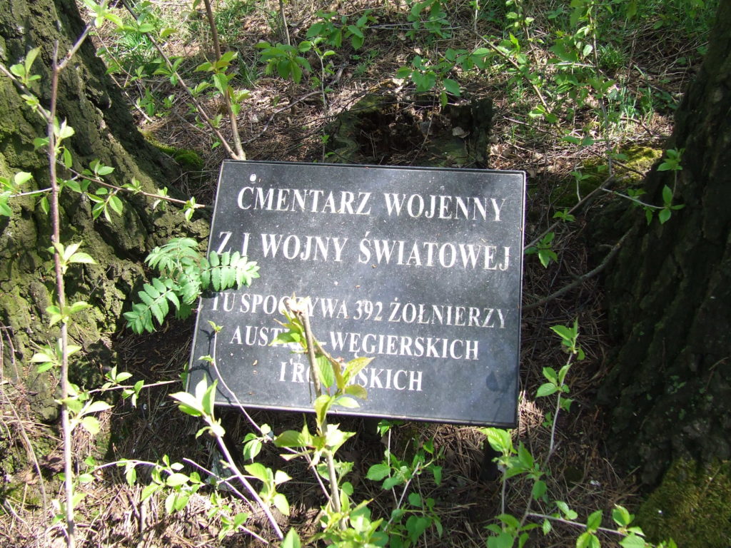 Cmentarz wojenny w Piotrkowie Pierwszym (wschodni)